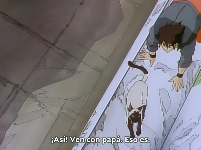 The Art Of Fighting (AkemiSubs)